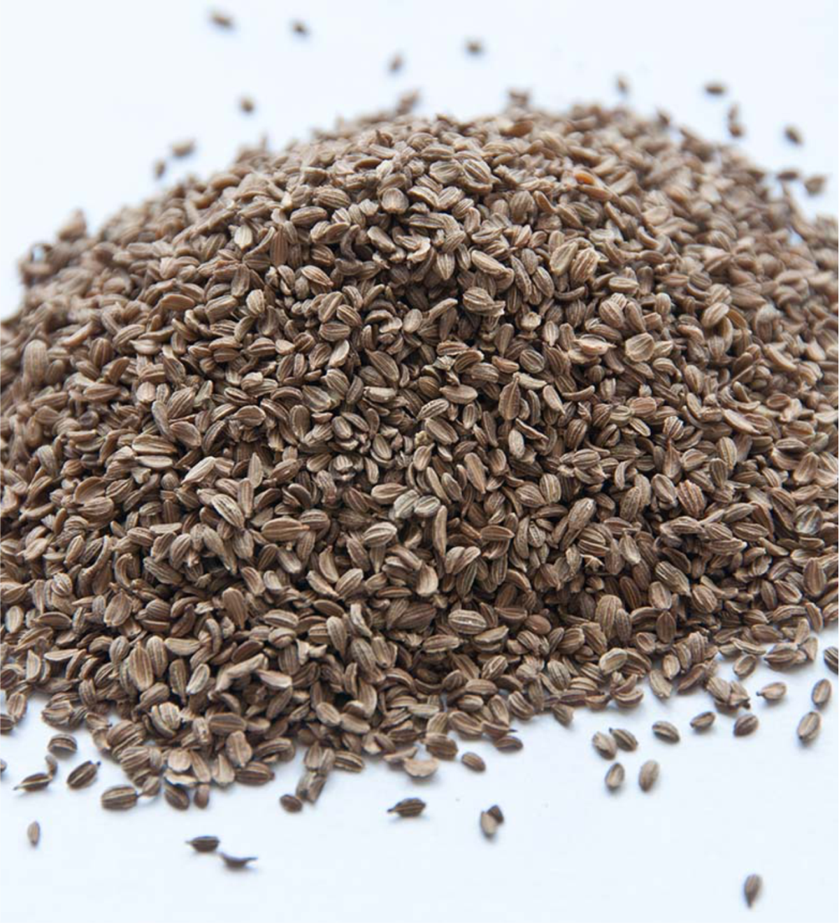 Carrot Seed Essential Oil