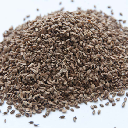 Carrot Seed Essential Oil