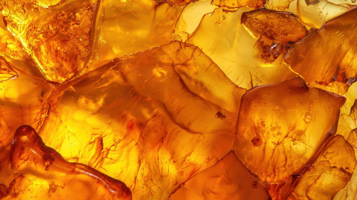 AMBRE 83