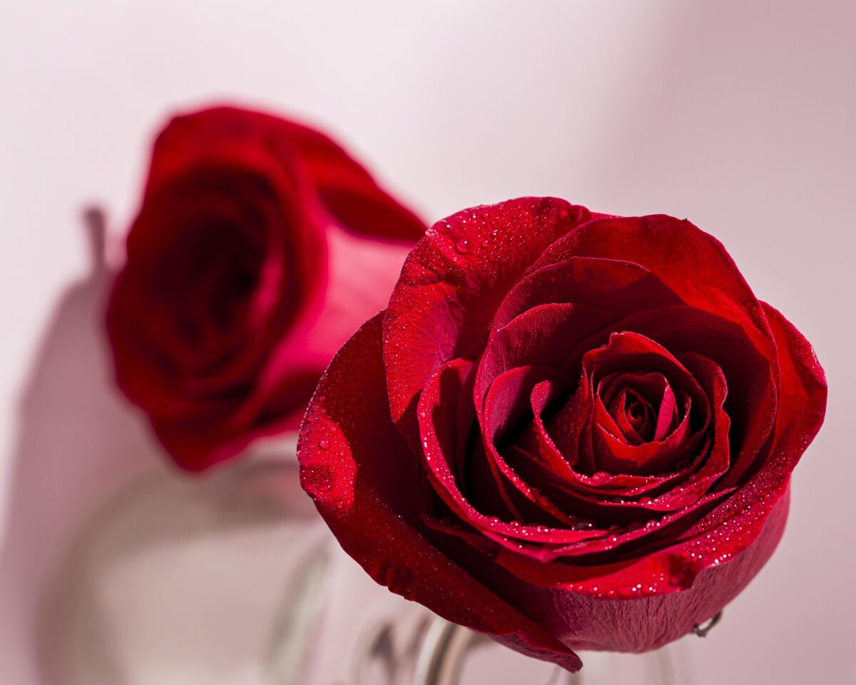 Rose Oxide (90-10)