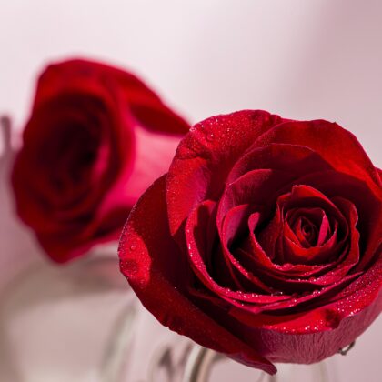Rose Oxide (90-10)