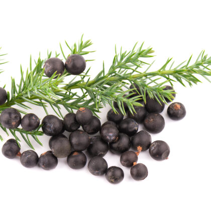 Juniper Berry Essential Oil