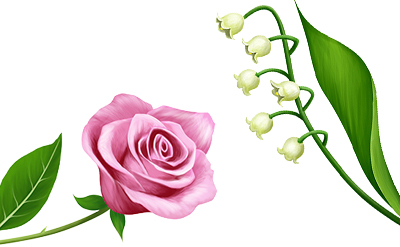 PHENYL ETHYL ALCOHOL - PEA