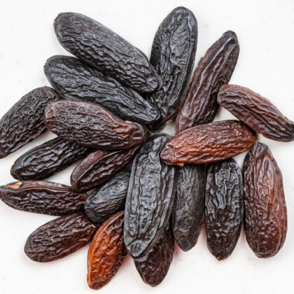 Tonka Bean Absolute