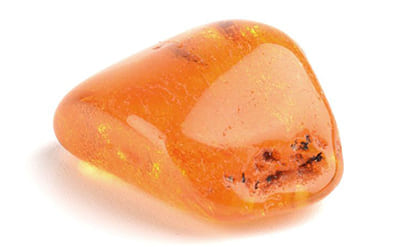 Ambermax 50% in Dowanol TPM