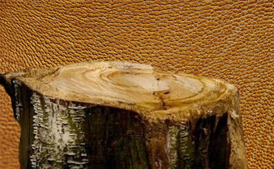 KEPHALIS GIVAUDAN