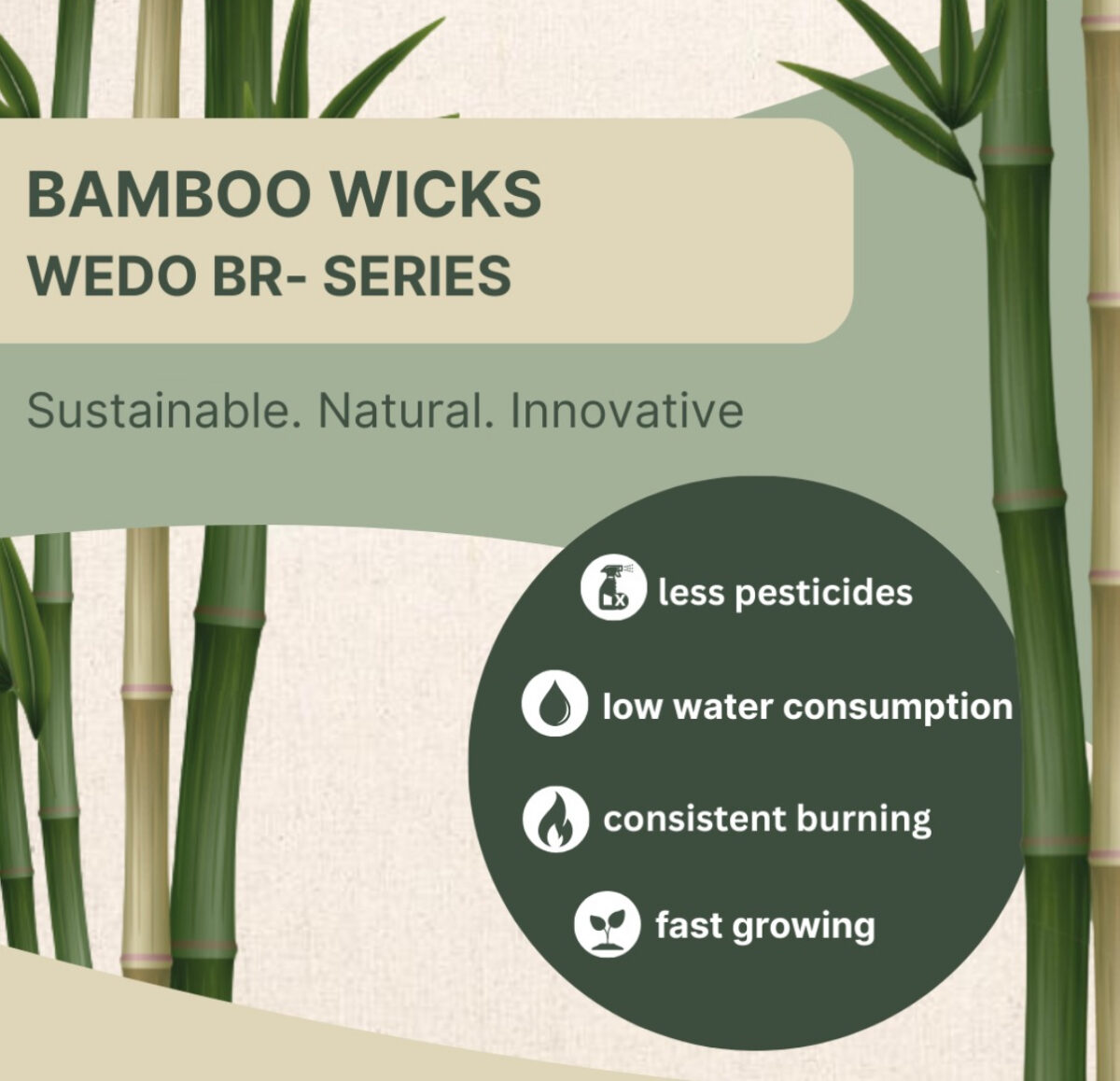 Bamboo Wicks